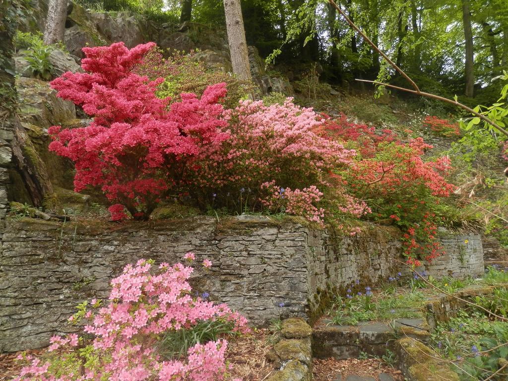 Llety Morben Villa Machynlleth Esterno foto