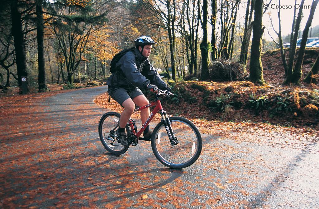 Llety Morben Villa Machynlleth Esterno foto